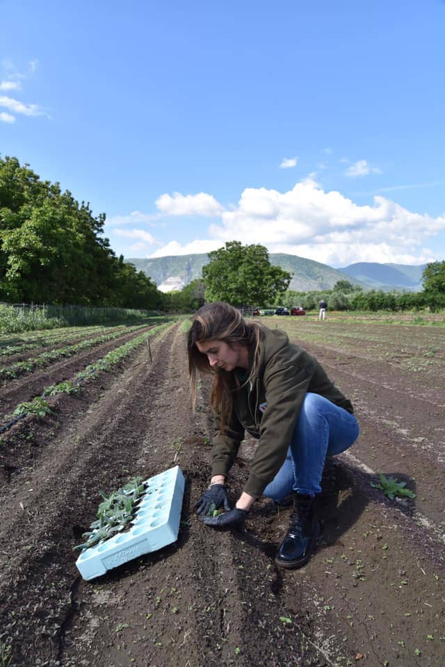 Katia while sowing seeds in the lands of Eccellenze Nolane
